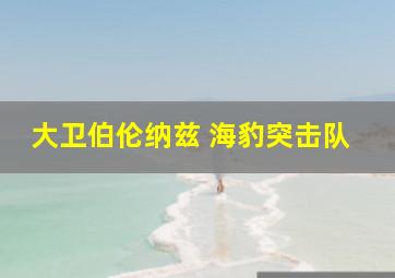 大卫伯伦纳兹 海豹突击队